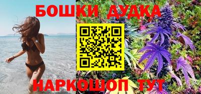 PSILOCYBIN Малгобек
