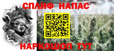 стаф Малоярославец
